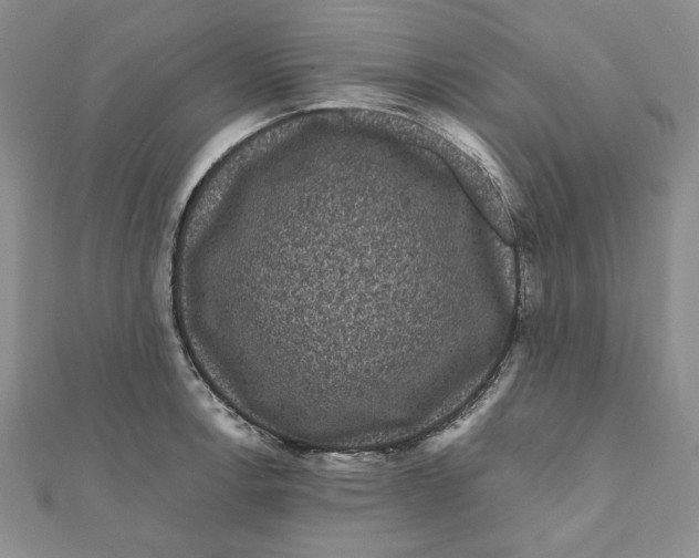 X0000111121138200907281023