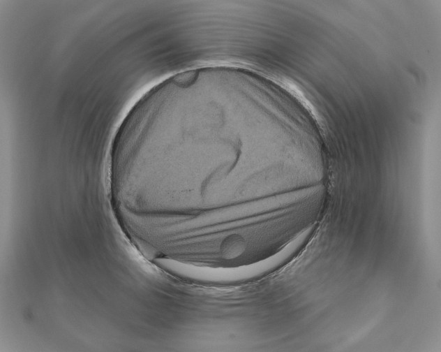 X0000111121140200907281023