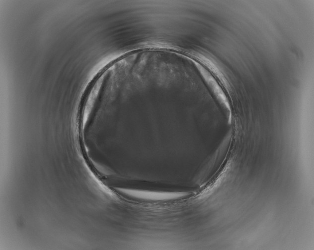 X0000111121141200907281023