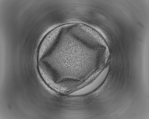 X0000111121142200907281023