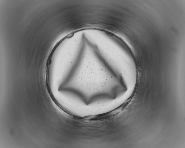 X0000111121143200907281023