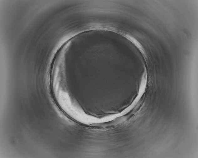 X0000111121144200907281023