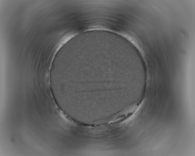 X0000111121145200907281023