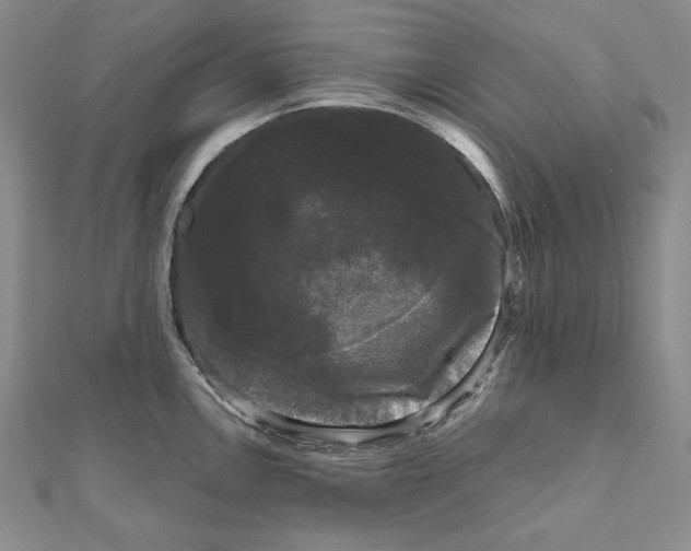 X0000111121146200907281023