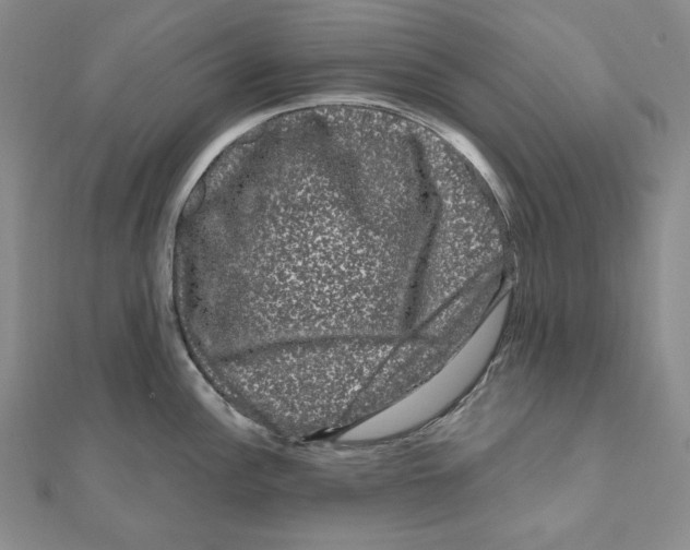 X0000111121148200907281023