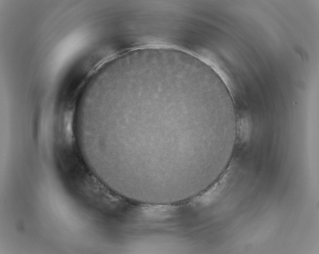 X0000111121150200907281023
