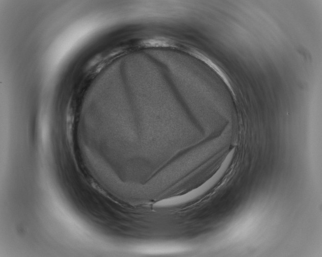 X0000111121151200907281023