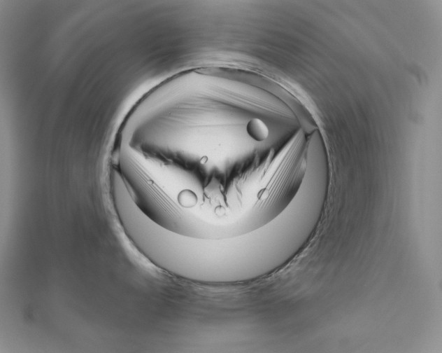 X0000111121152200907281023