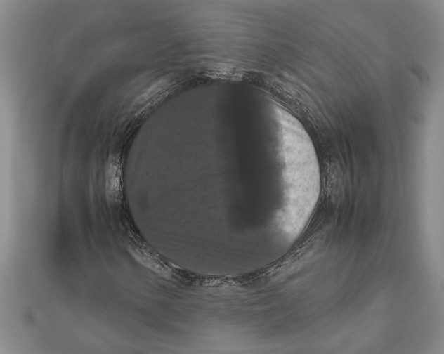 X0000111121154200907281023