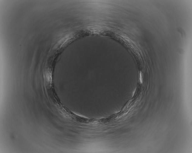 X0000111121155200907281023