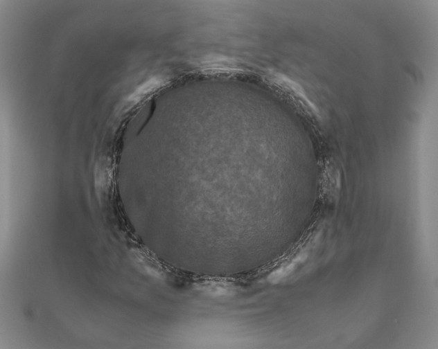 X0000111121157200907281023