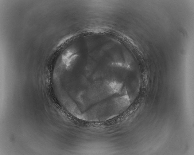 X0000111121158200907281023