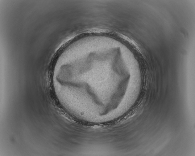 X0000111121160200907281023