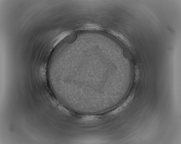 X0000111121162200907281023