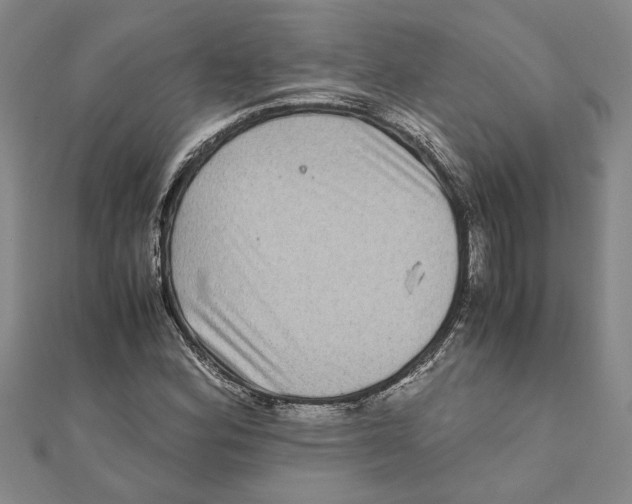 X0000111121164200907281023