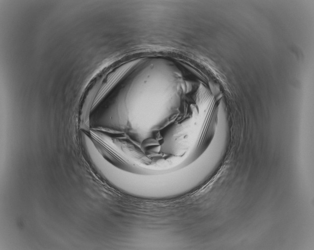 X0000111121165200907281023