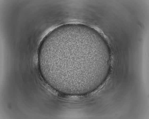 X0000111121167200907281023