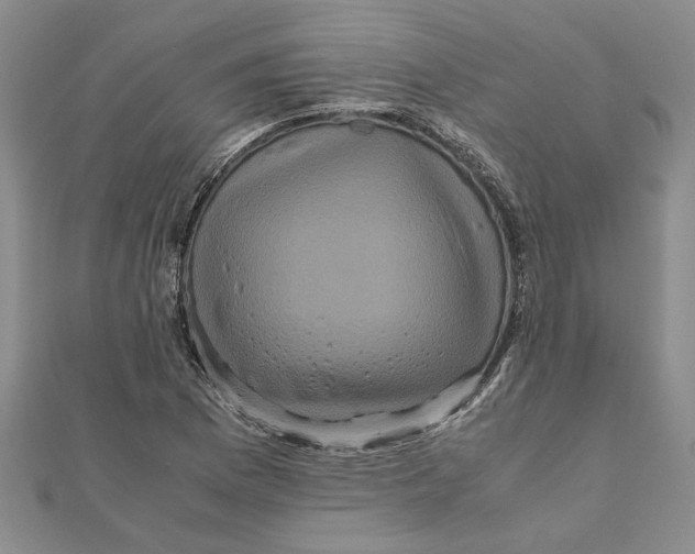 X0000111121169200907281023