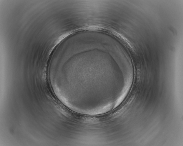 X0000111121170200907281023