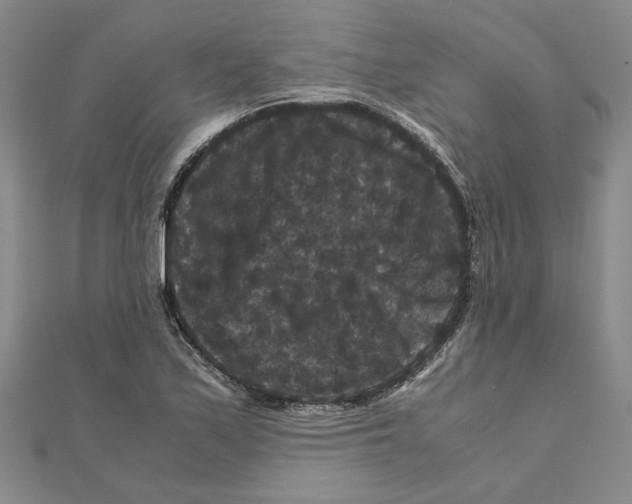 X0000111121171200907281023