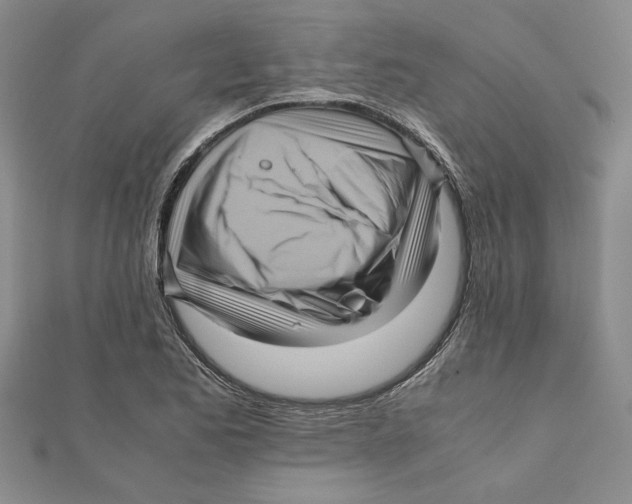 X0000111121173200907281023