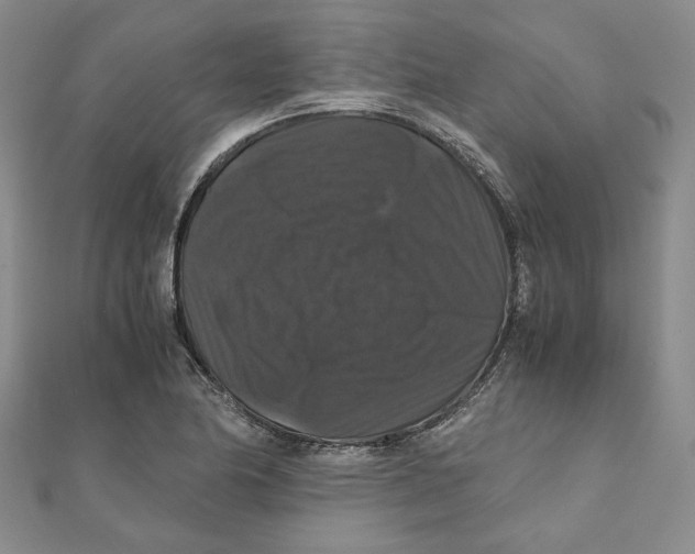 X0000111121174200907281023
