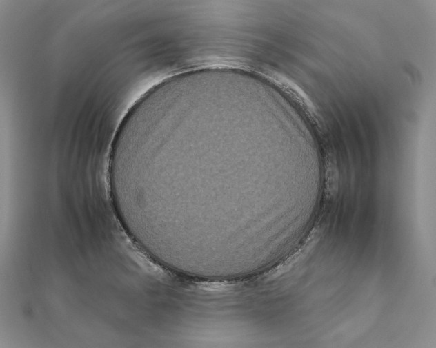 X0000111121182200907281022