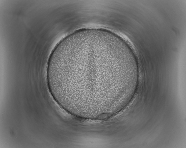 X0000111121183200907281022