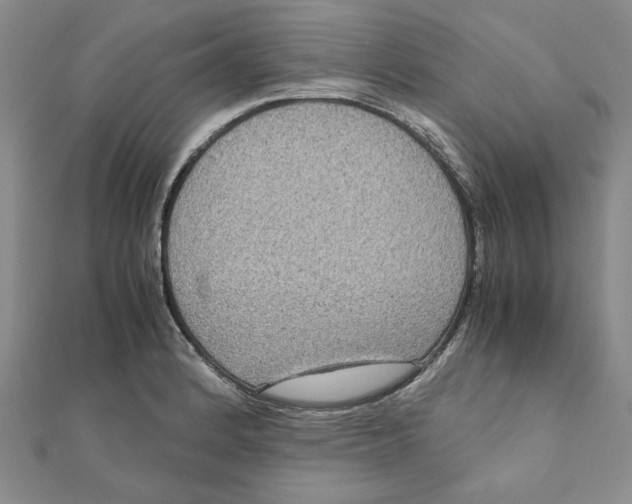 X0000111121184200907281022