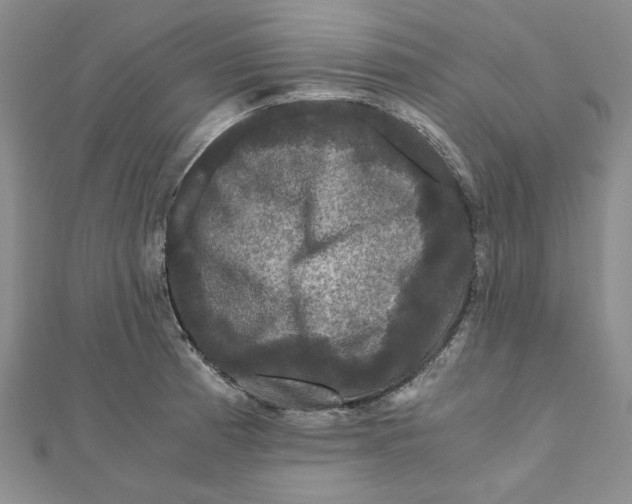 X0000111121185200907281022