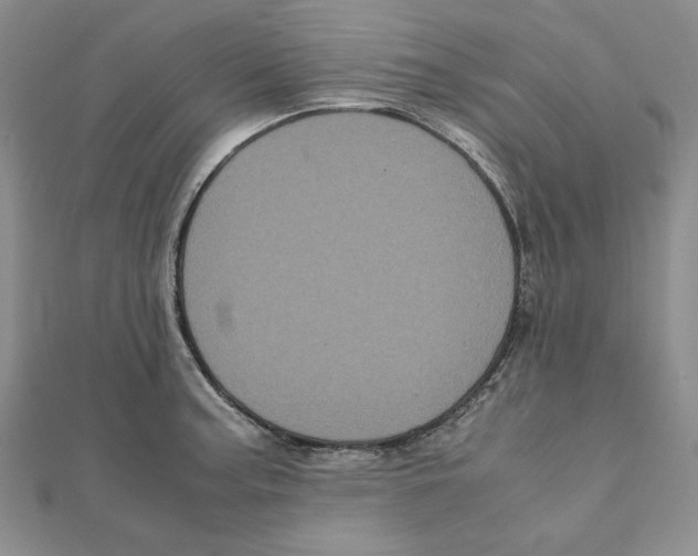 X0000111121187200907281022