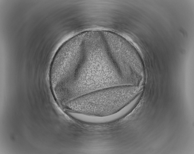 X0000111121189200907281022