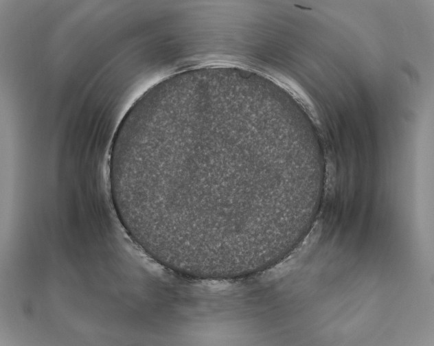 X0000111121190200907281022
