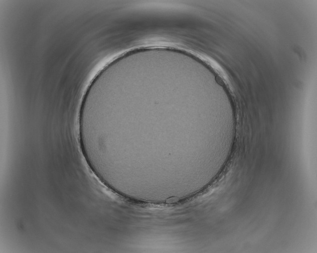 X0000111121191200907281022