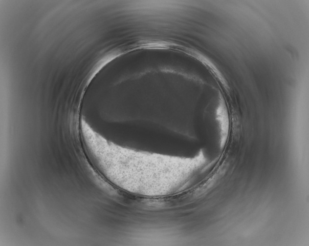 X0000111121194200907281022