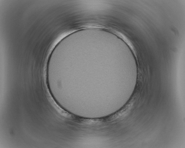 X0000111121195200907281022