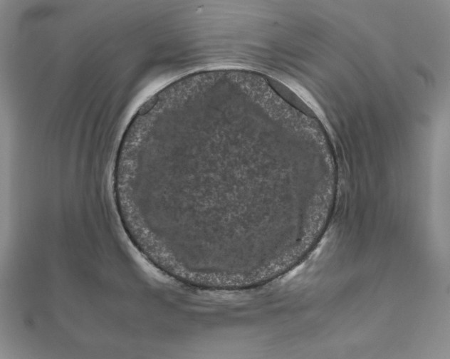 X0000111121197200907281022
