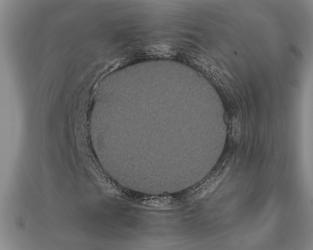 X0000111121201200907281022