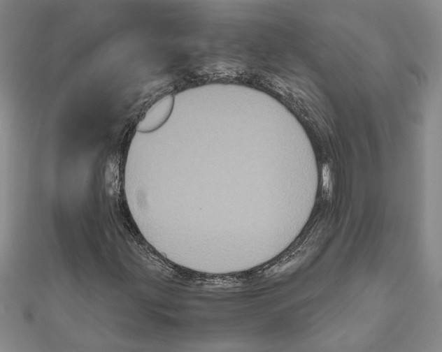 X0000111121203200907281022