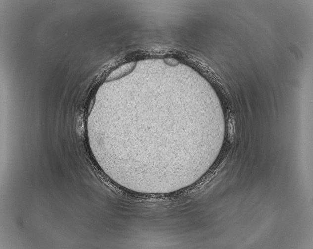 X0000111121204200907281022
