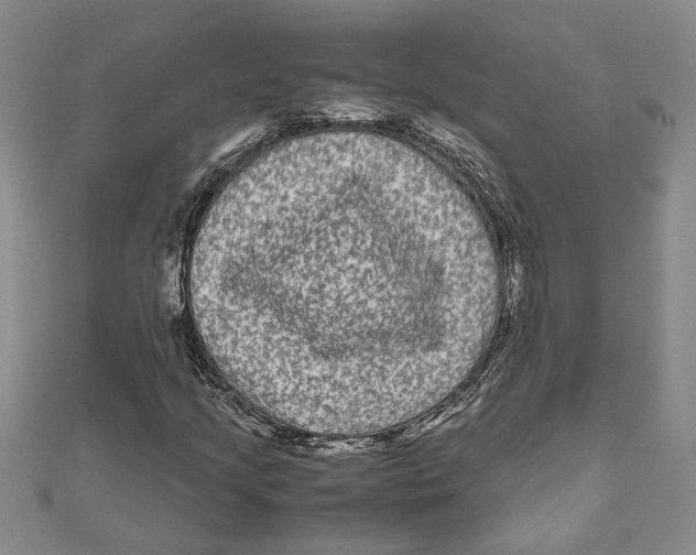 X0000111121205200907281022