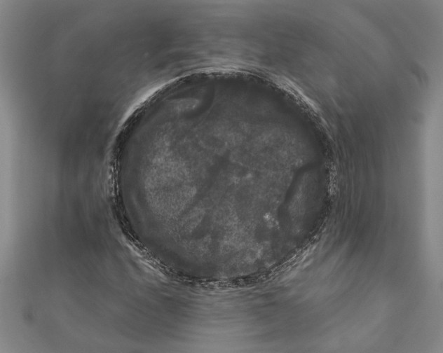 X0000111121208200907281022