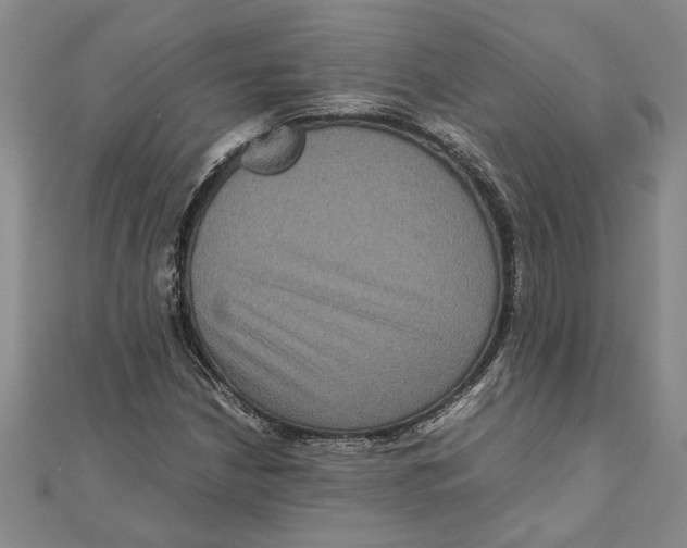 X0000111121210200907281022