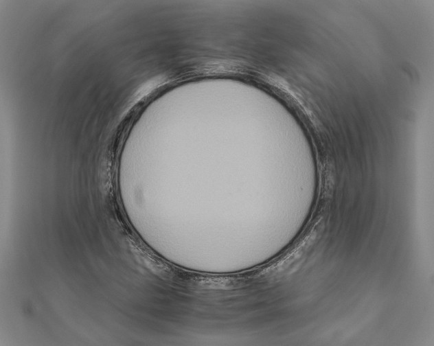 X0000111121211200907281022