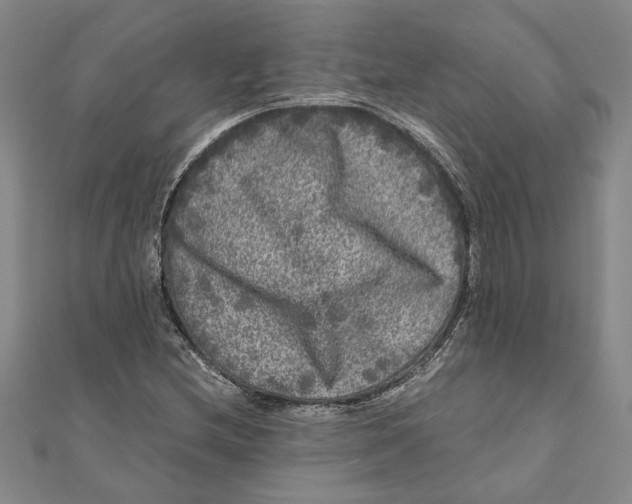 X0000111121212200907281022
