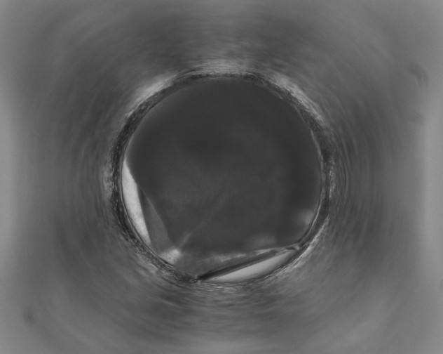 X0000111121213200907281022