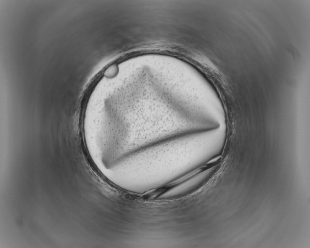 X0000111121216200907281022