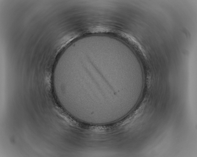 X0000111121217200907281022