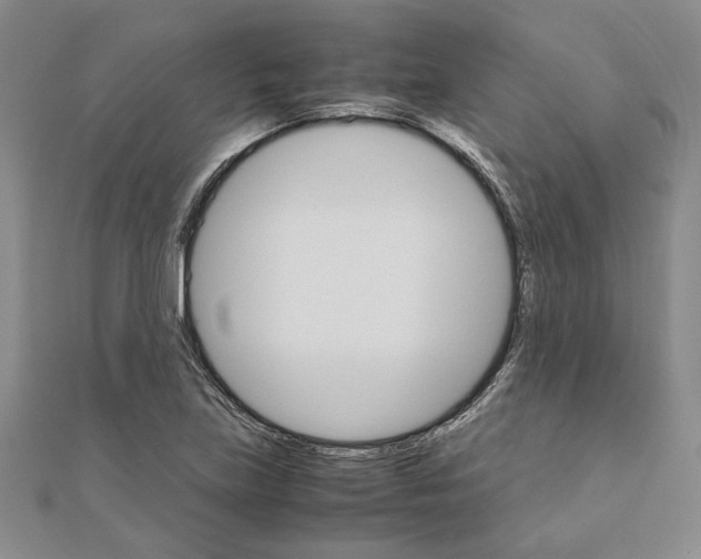 X0000111121219200907281022