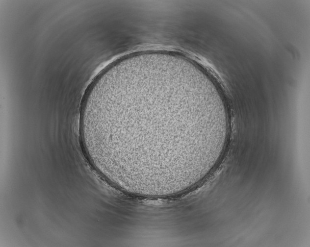 X0000111121220200907281022